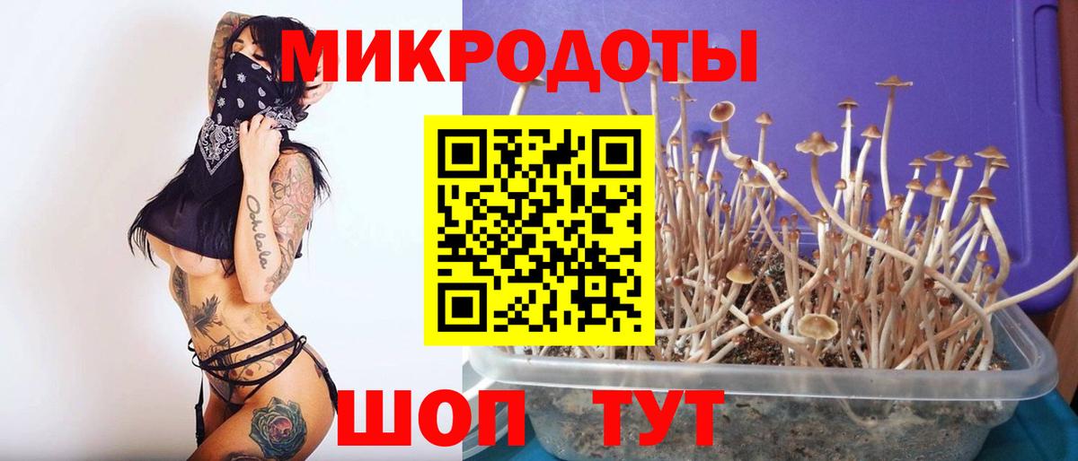 Псилоцибиновые грибы мухоморы Канаш