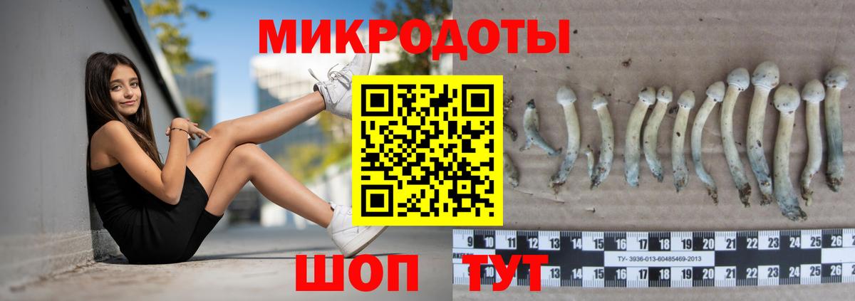 Канаш  Псилоцибиновые грибы ЛСД  Вход с VPN 